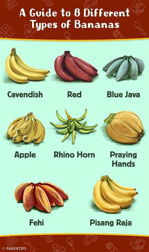 bananas pulandit|pulandit in English .